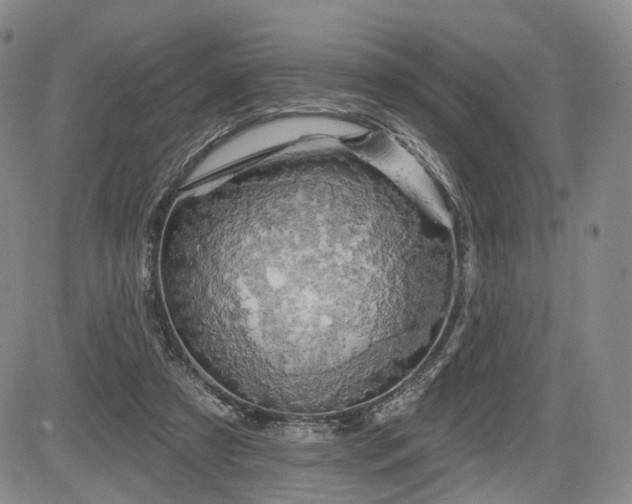 X0000084560305200703021430