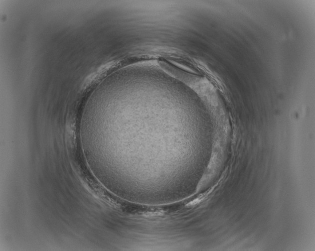 X0000084560306200703021430