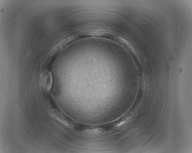 X0000084560307200703021430