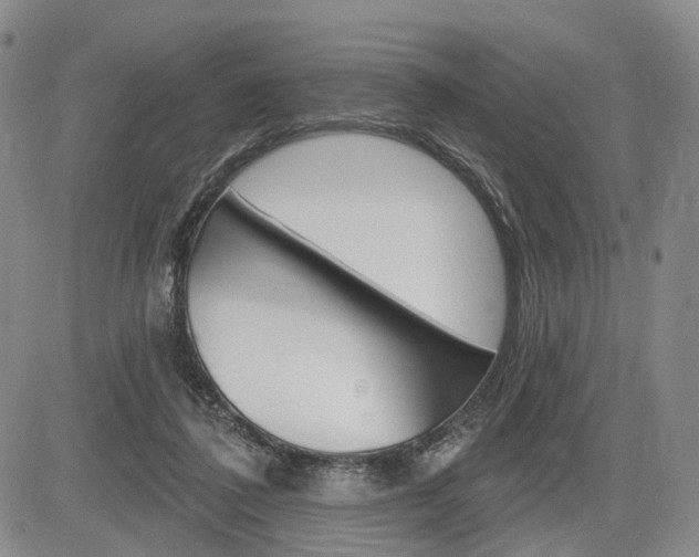 X0000084560308200703021430