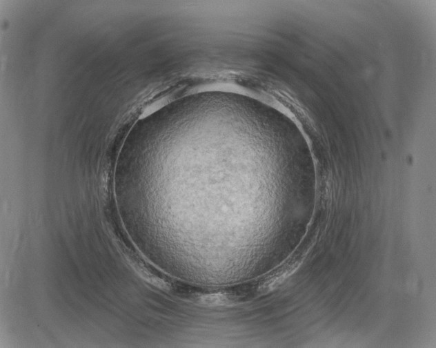 X0000084560309200703021430