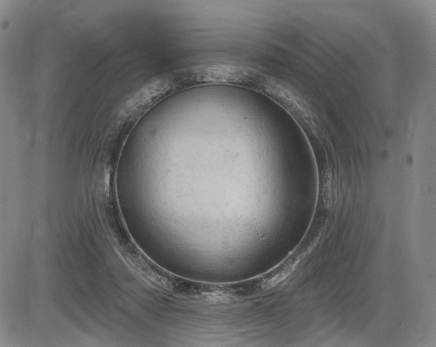 X0000084560310200703021430