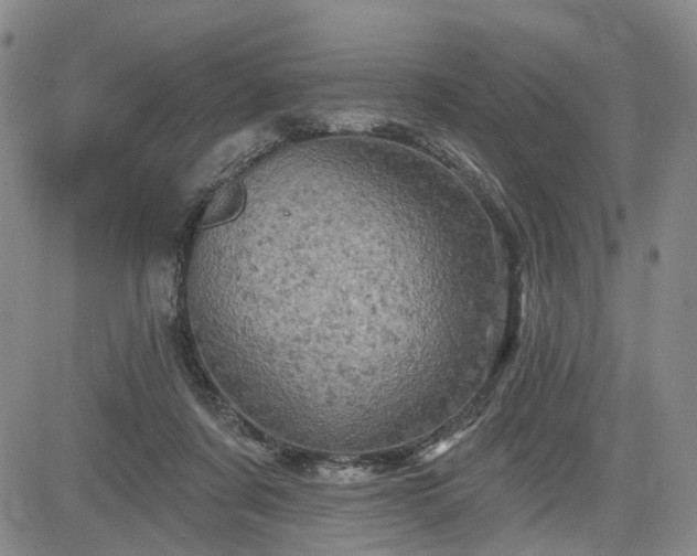 X0000084560311200703021430