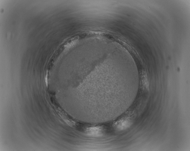 X0000084560312200703021430