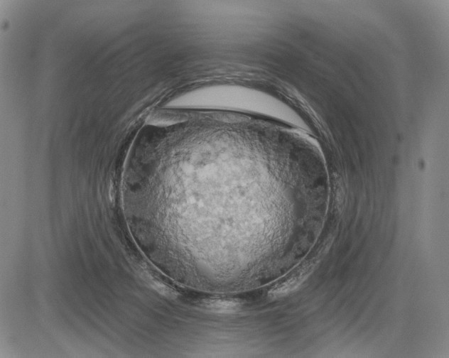 X0000084560313200703021430