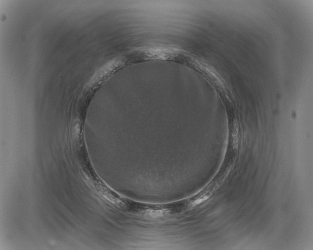 X0000084560314200703021430