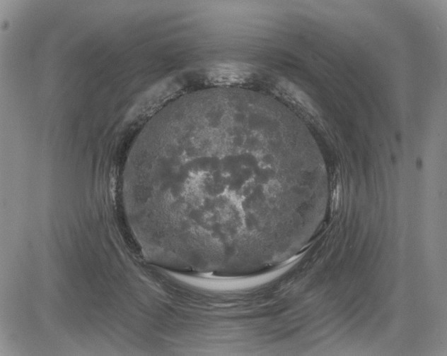 X0000084560315200703021430