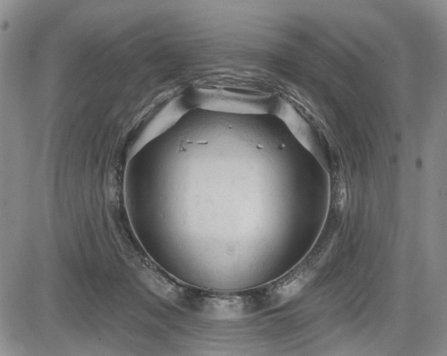 X0000084560317200703021430