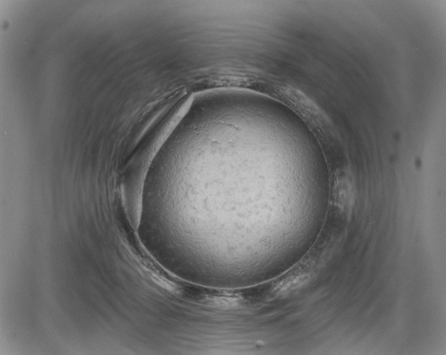 X0000084560318200703021430