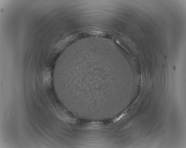 X0000084560320200703021430