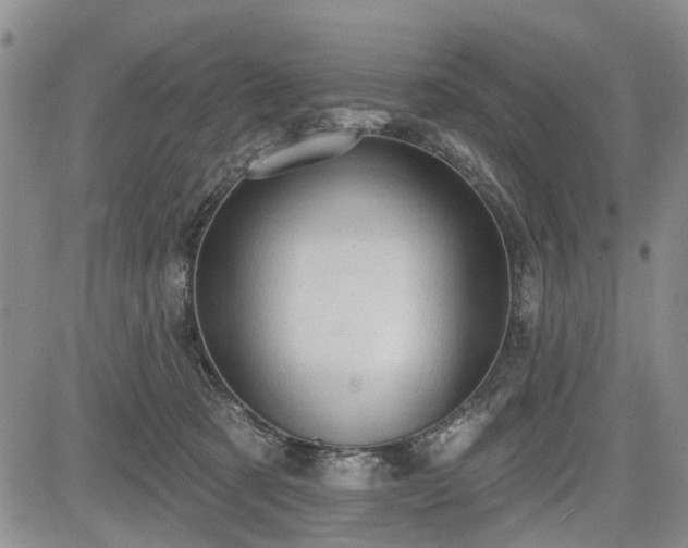 X0000084560321200703021430