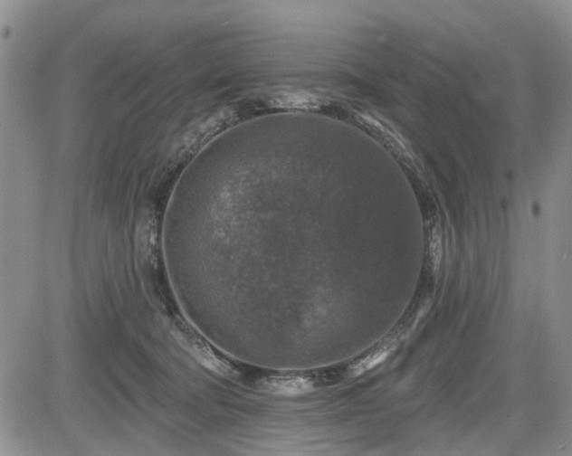 X0000084560322200703021430