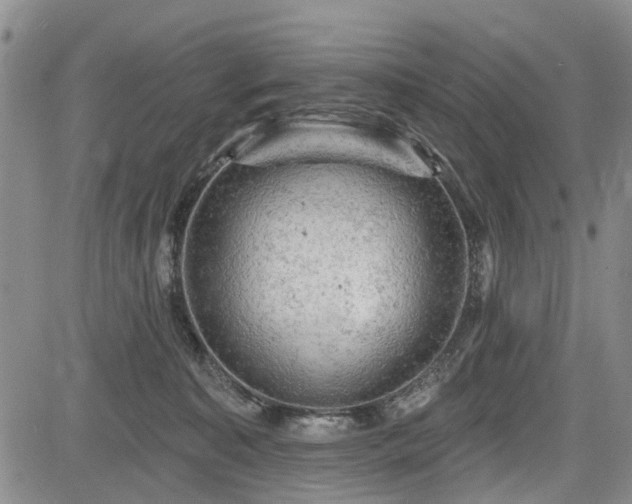 X0000084560323200703021430