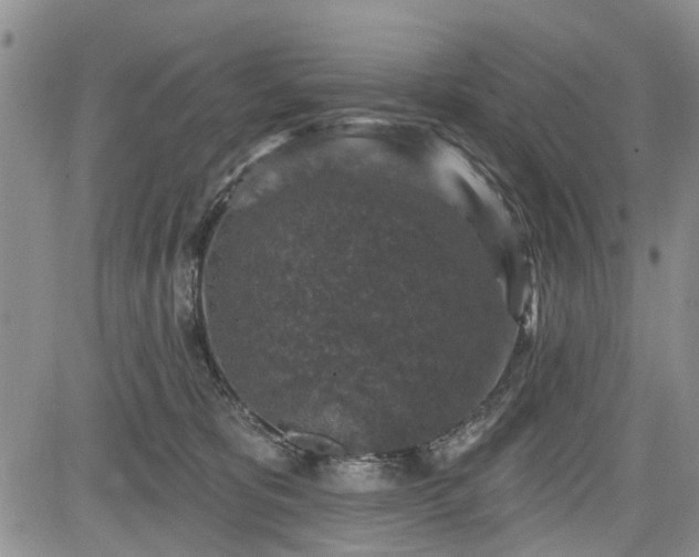 X0000084560325200703021430