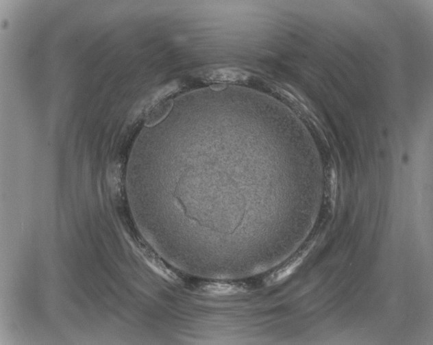 X0000084560326200703021430