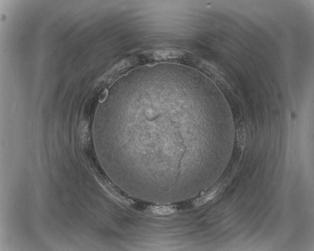 X0000084560327200703021430