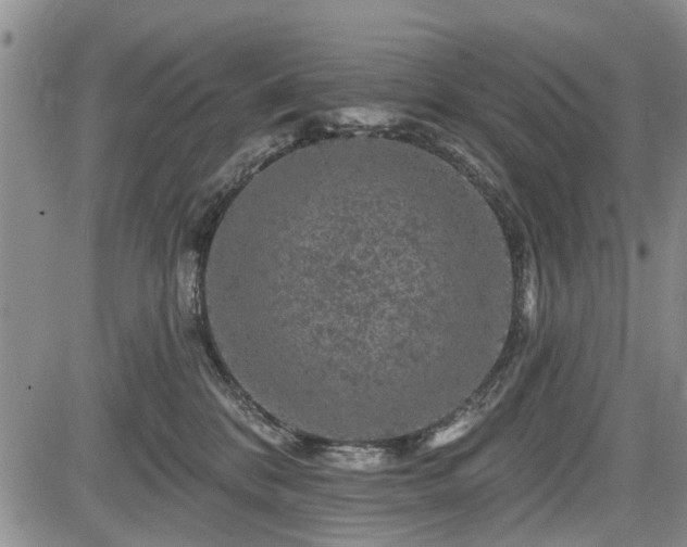 X0000084560328200703021430