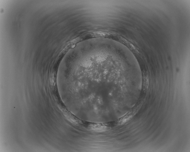 X0000084560331200703021430