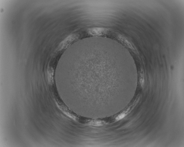 X0000084560332200703021430