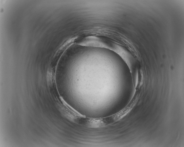 X0000084560333200703021430