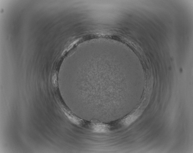 X0000084560336200703021430