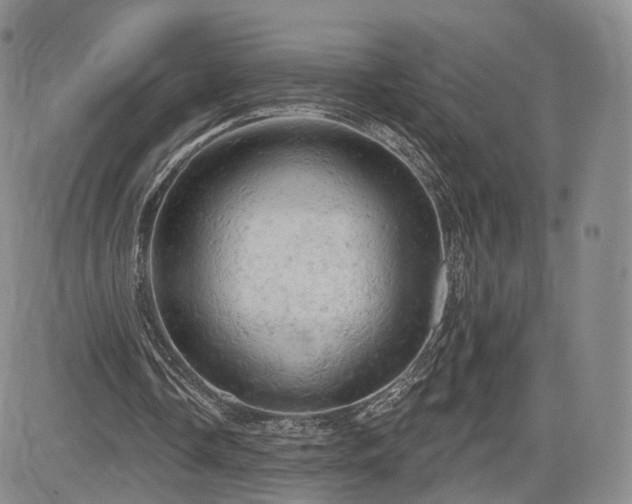 X0000084560338200703021429