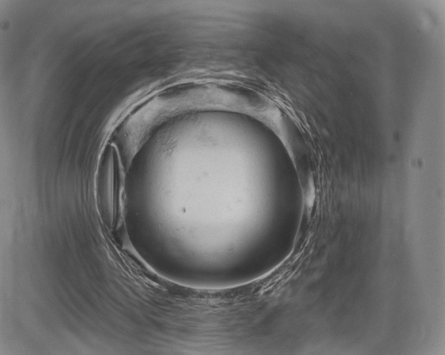 X0000084560340200703021429