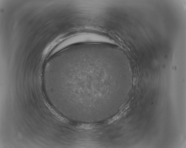 X0000084560341200703021429