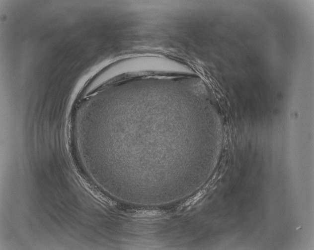 X0000084560342200703021429