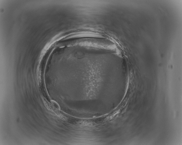 X0000084560343200703021429