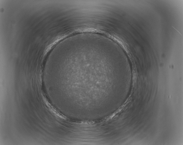 X0000084560345200703021429