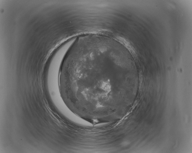 X0000084560346200703021429