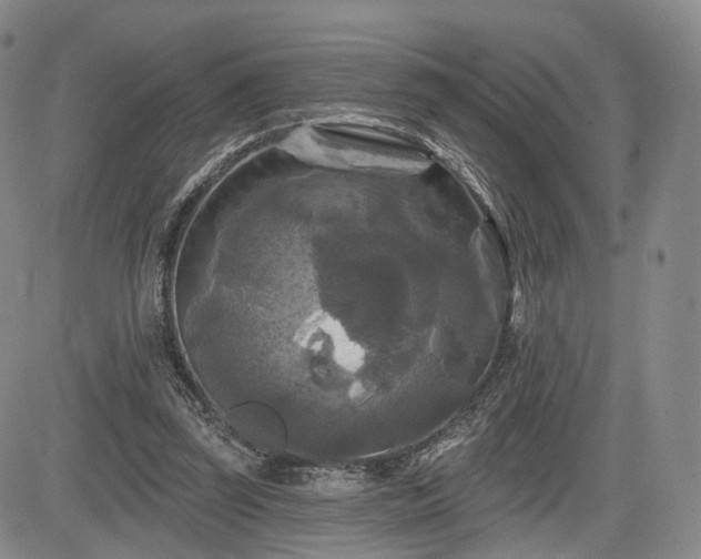 X0000084560347200703021429