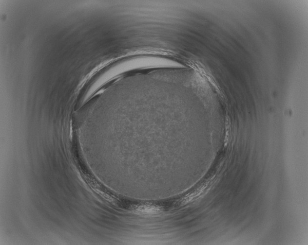 X0000084560348200703021429