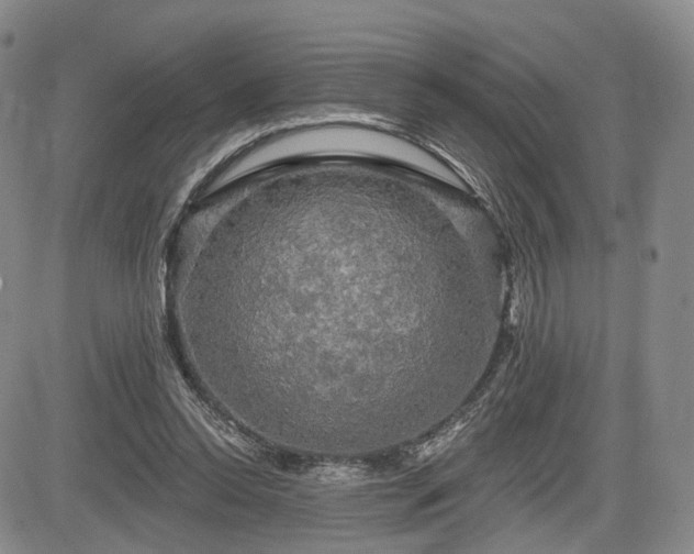 X0000084560350200703021429