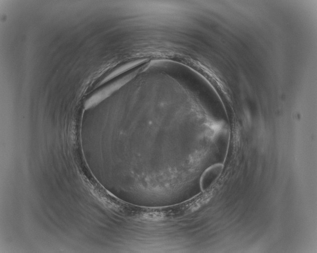 X0000084560353200703021429