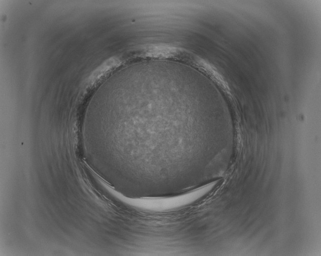 X0000084560354200703021429