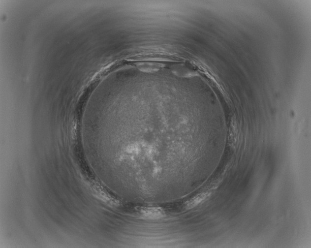 X0000084560355200703021429