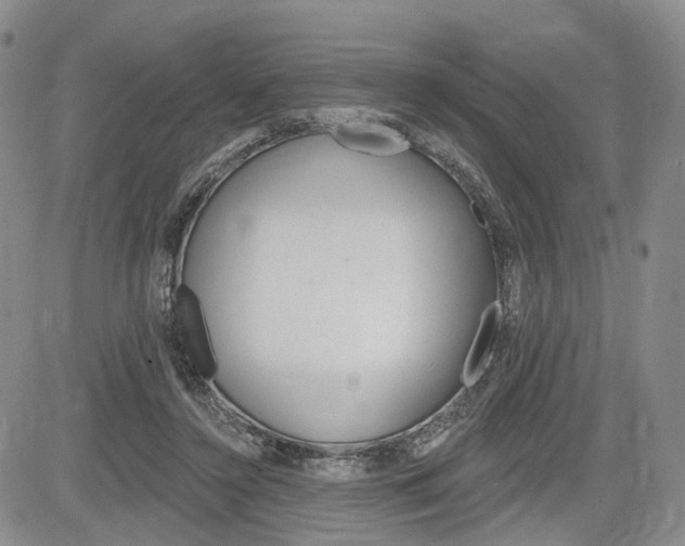 X0000084560356200703021429