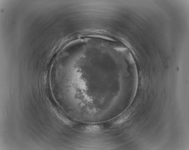 X0000084560357200703021429