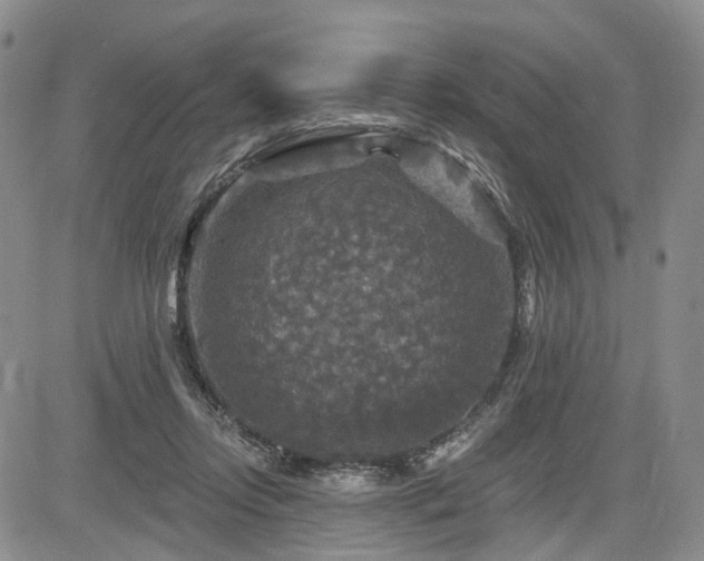 X0000084560358200703021429