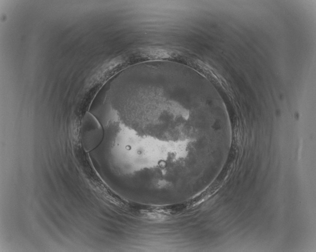 X0000084560359200703021429