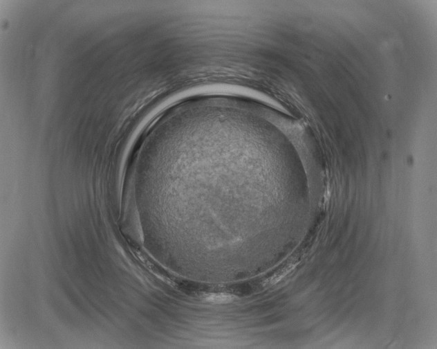 X0000084560360200703021429