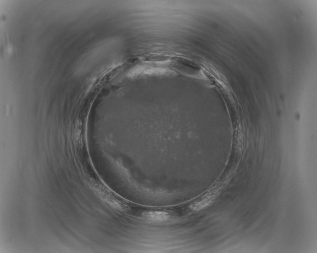 X0000084560361200703021429