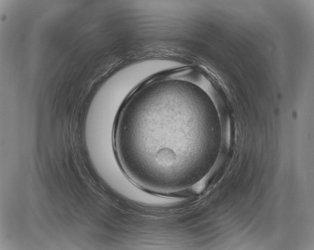 X0000084560362200703021429