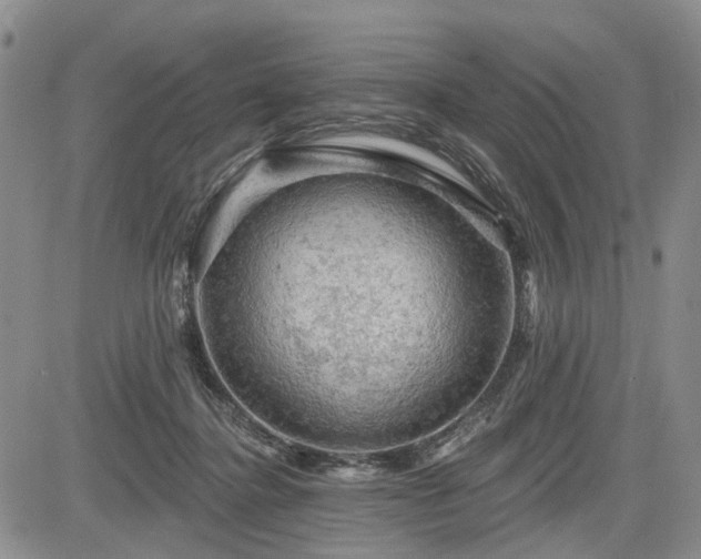 X0000084560364200703021429