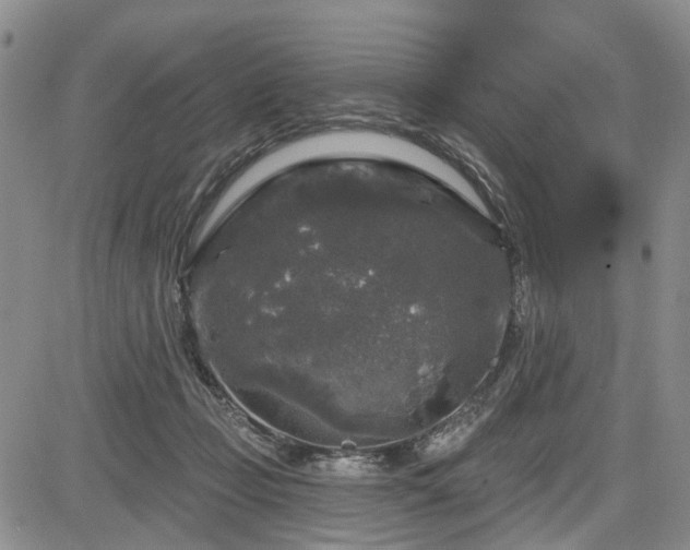 X0000084560365200703021429