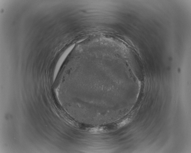 X0000084560366200703021429