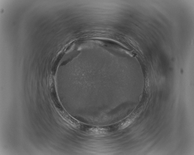 X0000084560367200703021429