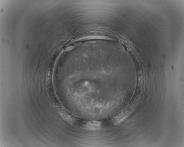 X0000084560369200703021429